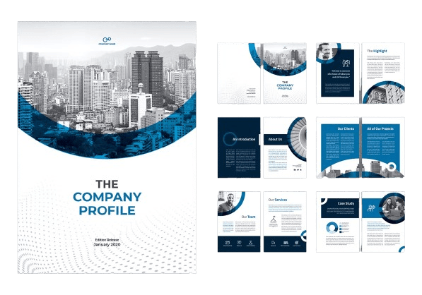 CompanyProfilewhy-img