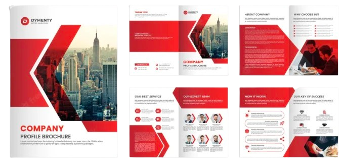 CompanyProfilewhy-img