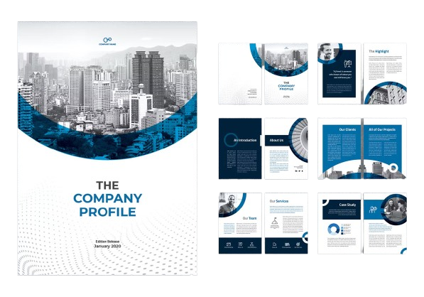 CompanyProfilewhy-img