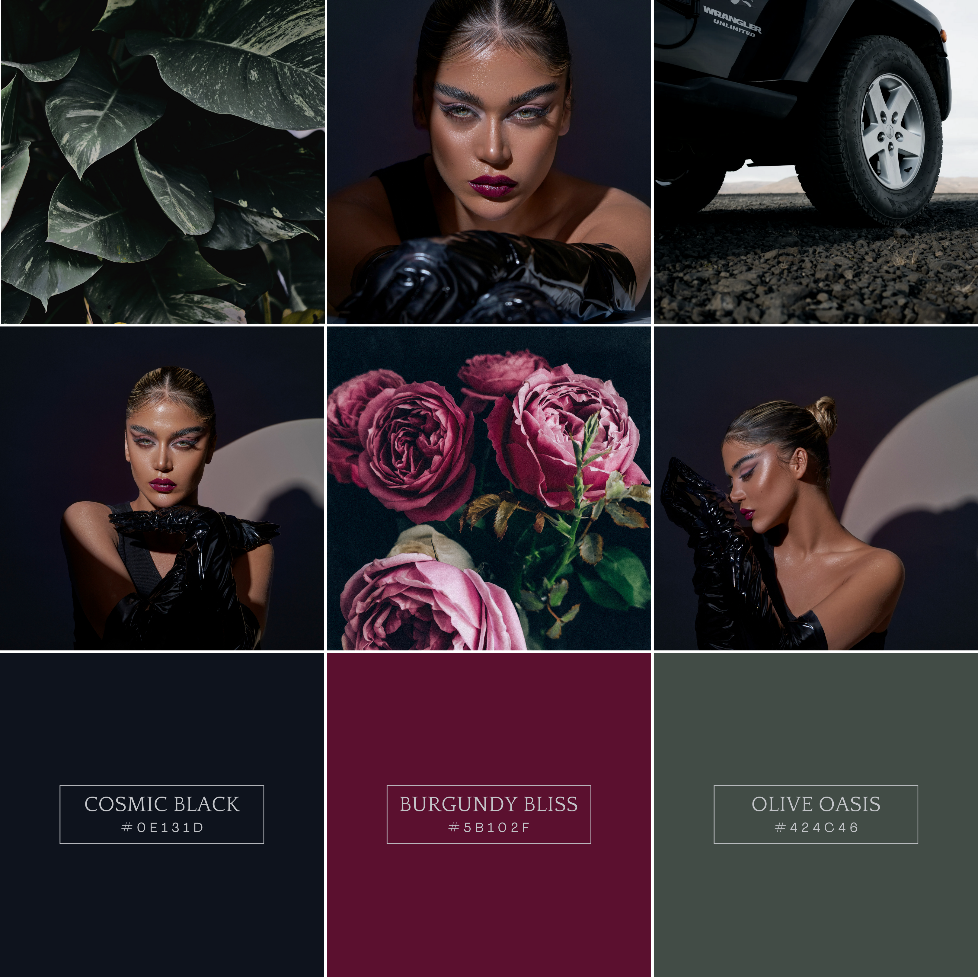 decorative illustration