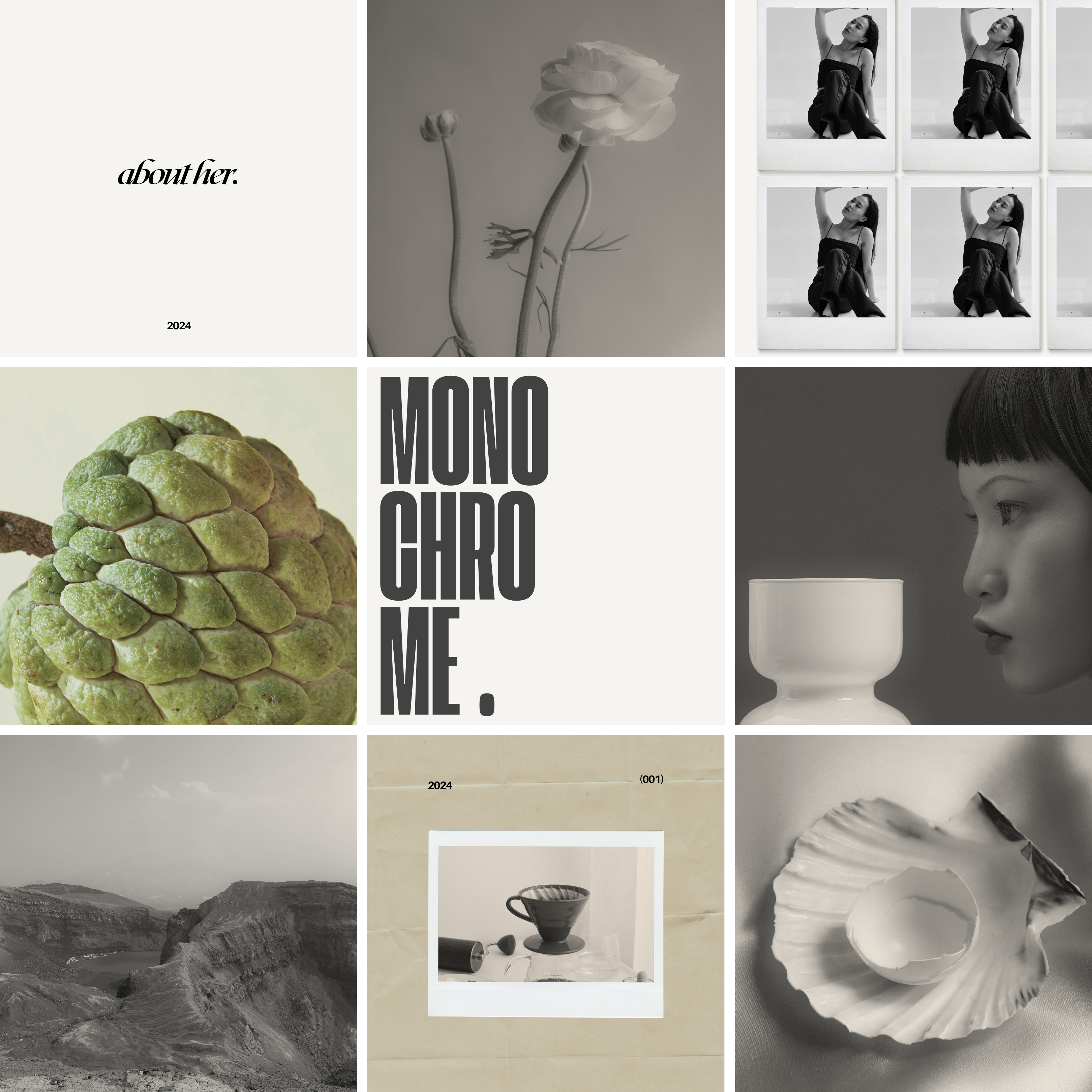 decorative illustration